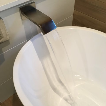 Waukesha - Modern Spa Master Bath Remodel