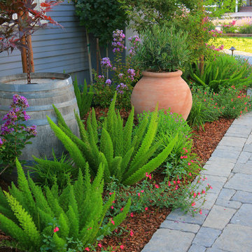 Lisa Cox Landscape Design Wine Tasting Room - Los Olivos, CA