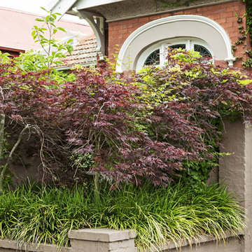 Middle Park (Evans) 8