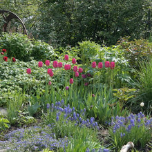 Gardening