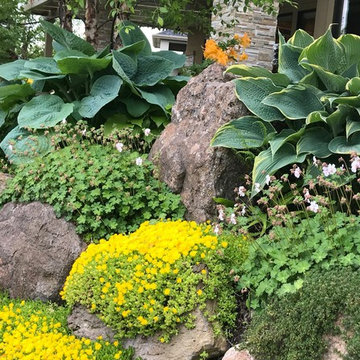 Perennial Bed Maintenance