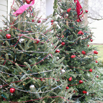 Holiday Decor