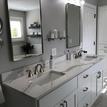 Grey Transitional Bathroom Remodel
