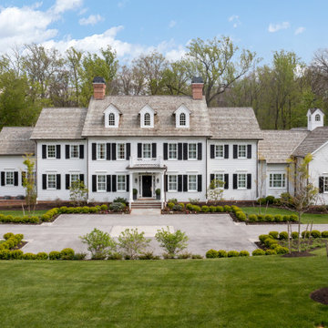 Boxwood