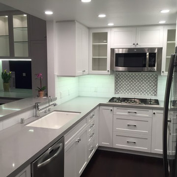 West LA Condo Remodel