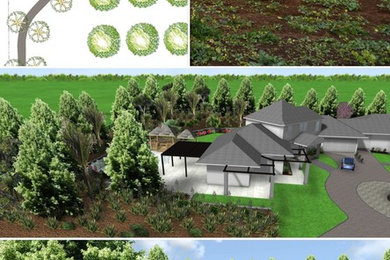 Garden Design Ideas nz