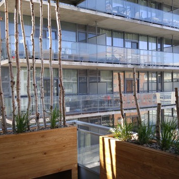 Decking with Planters and Privacy Screens
