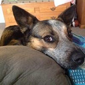 Rebecca Hort's photo