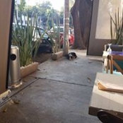 Javier Requejo's photo