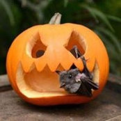 Laura Rusch's photo