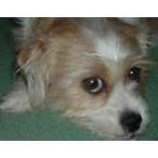 Patty Roderick's photo