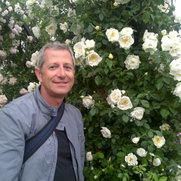 Foto di Studio Progetto & Giardino Roberto Fabiani