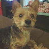 Tracy Hahl's photo