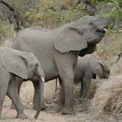 Claudia Popescu's photo