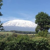 Foto von Ronda Vandergriff