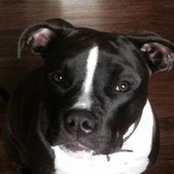 James Messer's photo