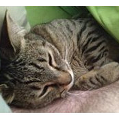 Vicki Hauserman's photo