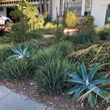 Santa Monica Front with Stone Steps
