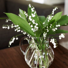 Flowers And Decorations