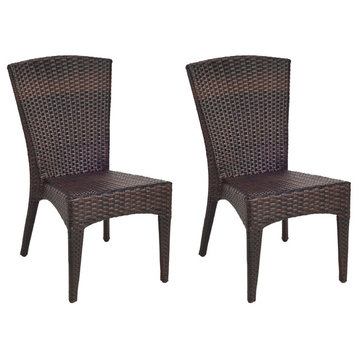 Safavieh New Castle Indoor-Outdoor Wicker Side Chairs, Set of 2