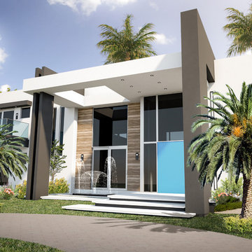 Living Large in Modern Style
