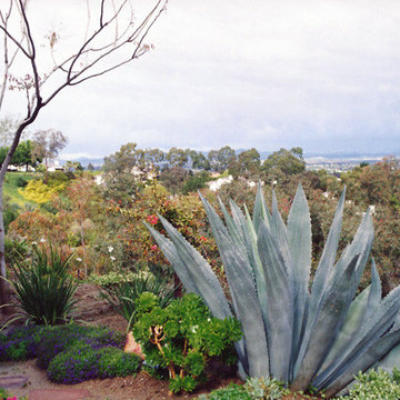 California 4