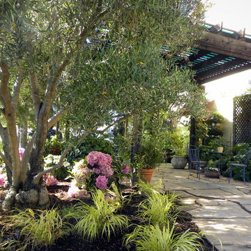 California Winery Benessere Vineyards