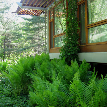 Mountain Retreat