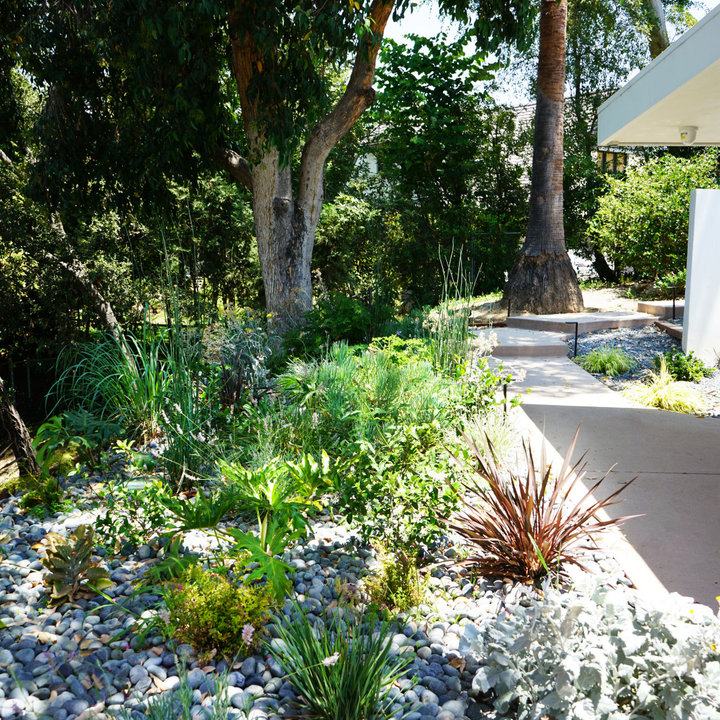 75 Mid Century Modern Flower Bed Ideas Youll Love July 2022 Houzz 