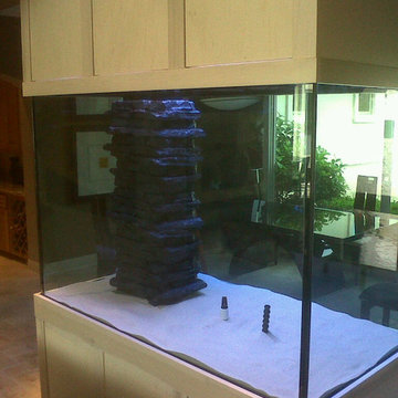 Aquarium installed