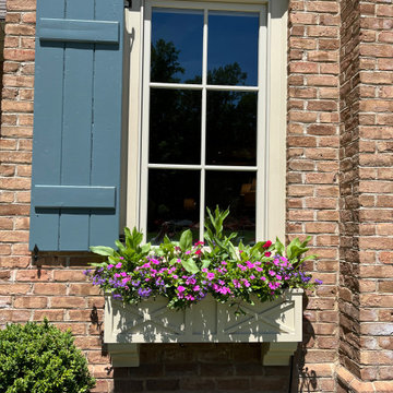 Window Boxes
