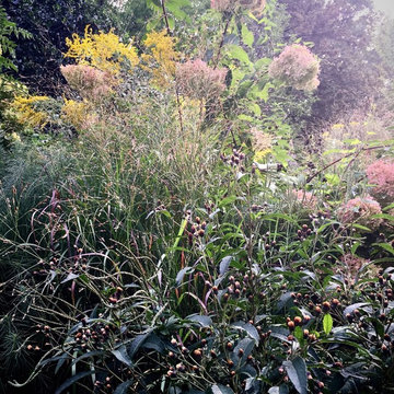 Fall-W Falls Church Garden