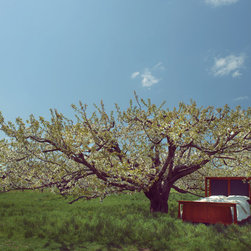 Country Classics - Products