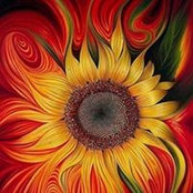 Deb Markle's photo
