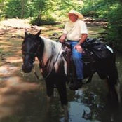 David Robinson's photo