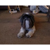 Winston Dingles foto