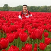 Nguan Wee Teo's photo