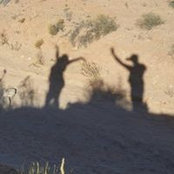 Amy Boufford Dutra's photo