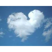 Dawn Meyer's photo