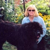 Michele Cross's photo
