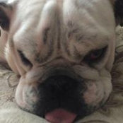 Sandy Kiernan's photo