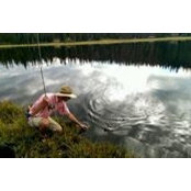 Nicholas Hansen's photo