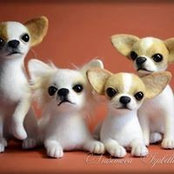 Oksana Korneeva's photo