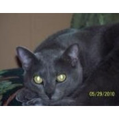 Kim Strickland's photo