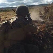 TJ Rumm's photo