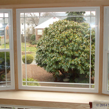 Replacement Windows