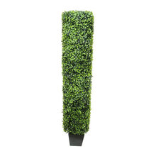 Shrubs