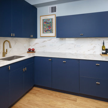 Manhattan Valley Apartment Renovation