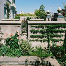 espalier