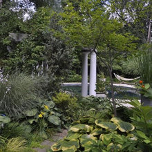 Landscape plantings